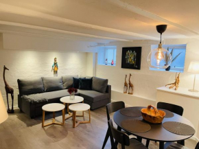 aday - Modern apartment in the Heart of Aalborg in Aalborg 